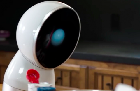 The True Utility of Echo and Jibo